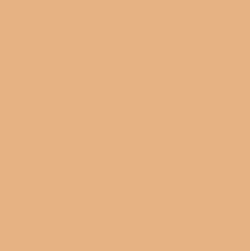 Pure Solids in Georgia Peach by Art Gallery Fabric