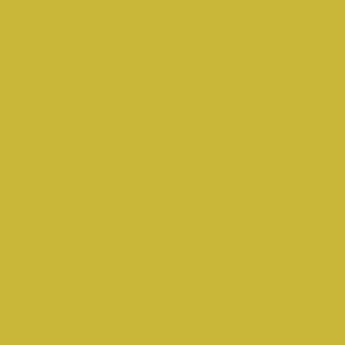 Pure Solids in Olive Oil by Art Gallery Fabric