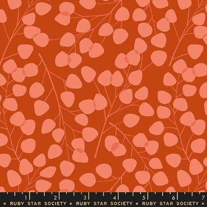 Winterglow Eucalyptus (Cayenne) Ruby Star Society