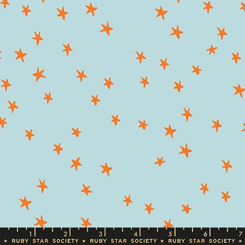 Starry in Polar by Ruby Star Society Fabric